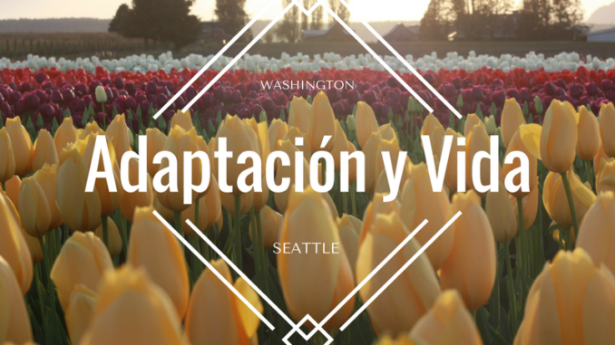 adaptarse-vivir-seattle-washington-latinos