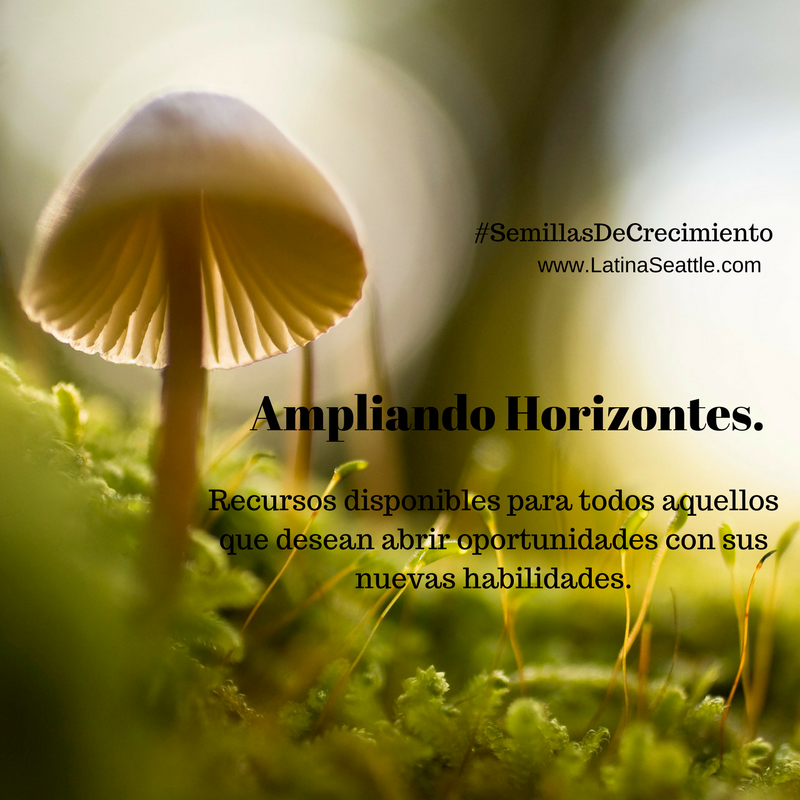 Agregar Clases, Entrenamientos y Talleres